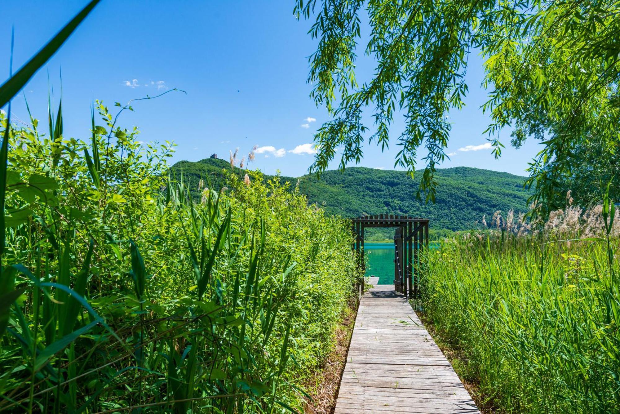 Ueberbacherhof Termeno Ngoại thất bức ảnh